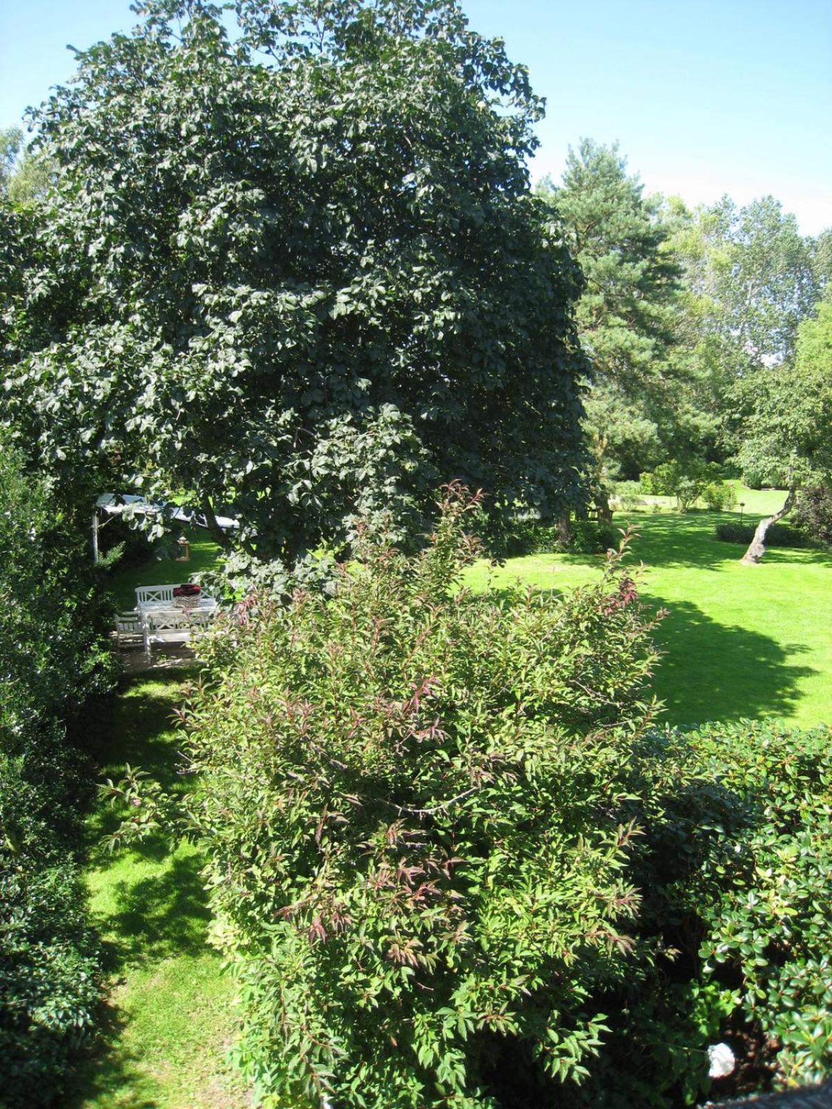 Nabolos Rooms Bovense Kültér fotó