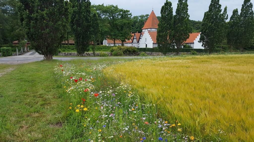 Nabolos Rooms Bovense Kültér fotó